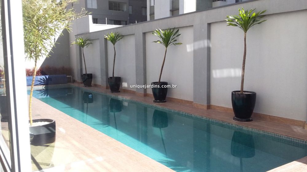 Apartamento à venda na Rua PaimBela Vista - 133803-14.jpg