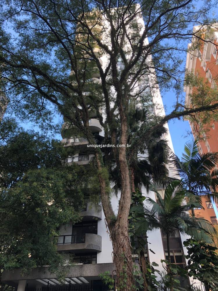 Apartamento à venda na Alameda Casa BrancaJardim América - 999-apartamento-jardim-america-sao-paulo-111147-14.jpg
