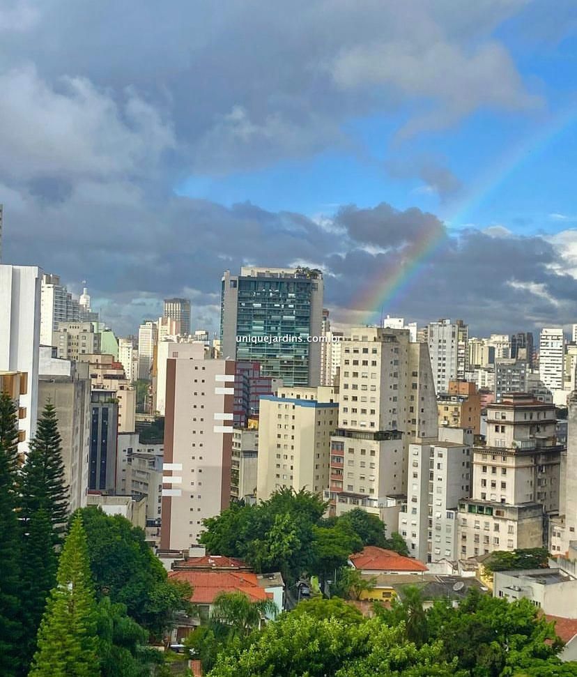 Apartamento à venda na Rua PaimBela Vista - 999-112042-4.jpg
