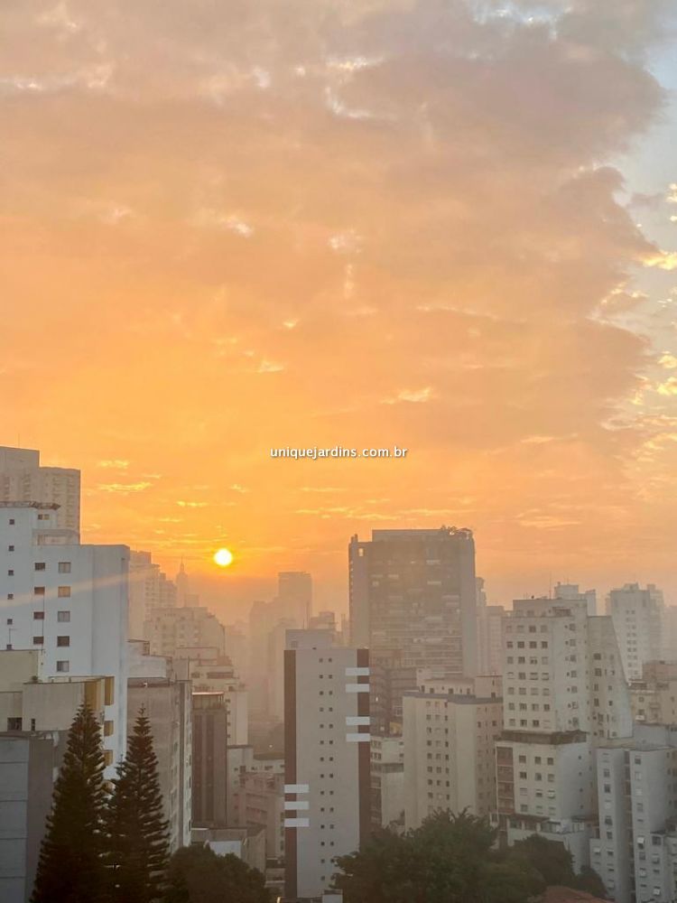 Apartamento à venda na Rua PaimBela Vista - 999-112043-5.jpg