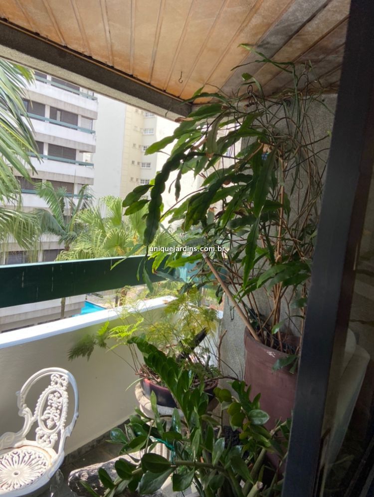 Apartamento à venda na Rua PintassilgoMoema - 090026-7.jpg