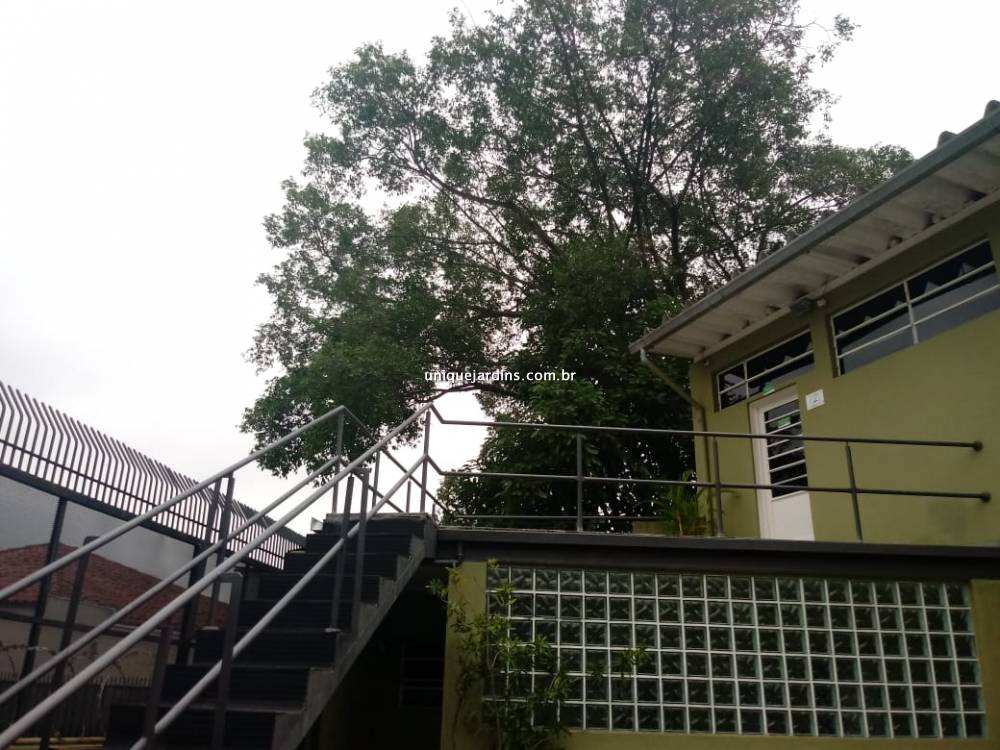 Casa Comercial à venda na Rua Minas GeraisHigienópolis - apartamento-higienopolis-sao-paulo-112855-8.jpg