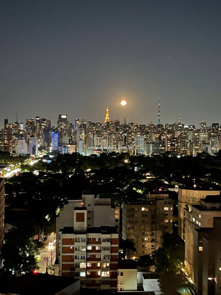Apartamento à venda na Rua ItacemaItaim Bibi - 999-apartamento-itaim-bibi-sao-paulo-102354-11.jpg