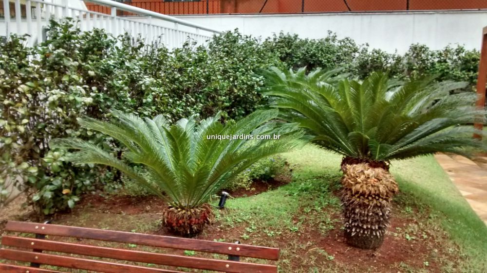 Apartamento à venda na Rua Jesuíno ArrudaItaim Bibi - 999-203955-6.jpg