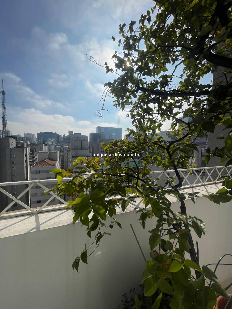 Cobertura para alugar na Alameda ItuJardim América - 999-apartamento-jardim-america-sao-paulo-135926-1.jpg