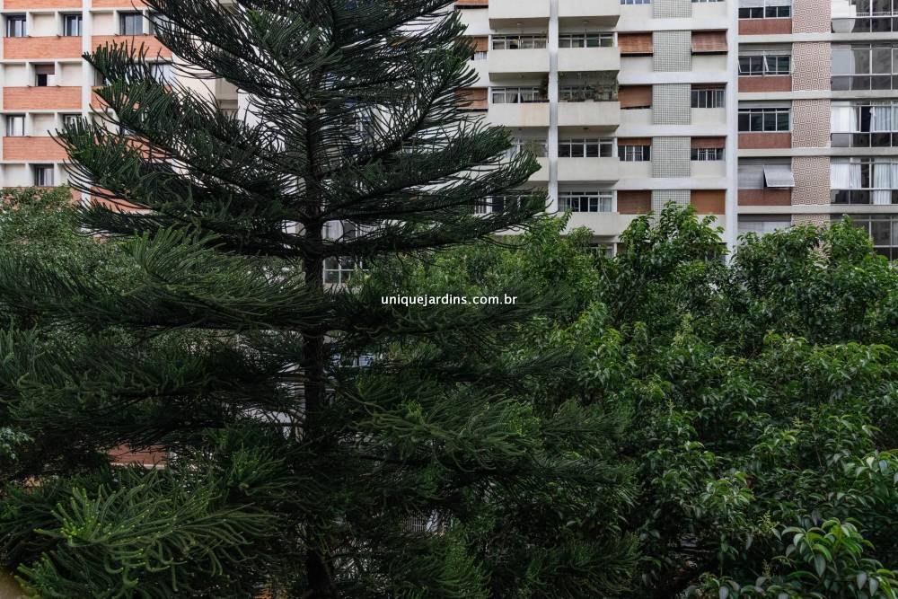 Apartamento à venda na Rua Doutor Homem de MeloPerdizes - 999-apartamento-perdizes-sao-paulo-135011-13.jpg