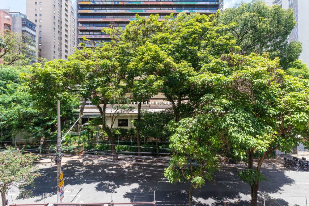 Apartamento à venda na Alameda Ribeirão PretoBela Vista - 999-apartamento-bela-vista-sao-paulo-152241-4.jpg