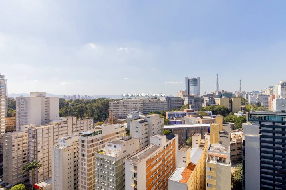 Cobertura Duplex à venda na Rua Oscar FreirePinheiros - apartamento-pinheiros-sao-paulo-102044-3.jpg