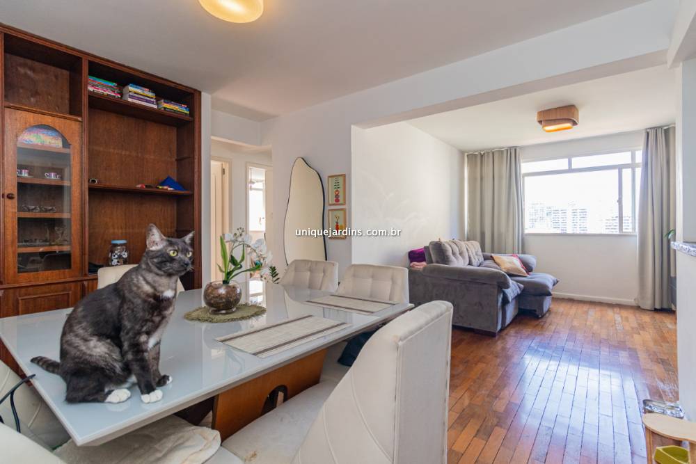 Apartamento venda Vila Mariana - Referência AP17146